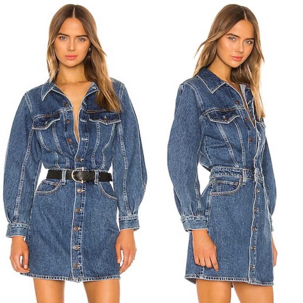 AGOLDE Balloon Sleeve Denim Dress in Shelter Size 6